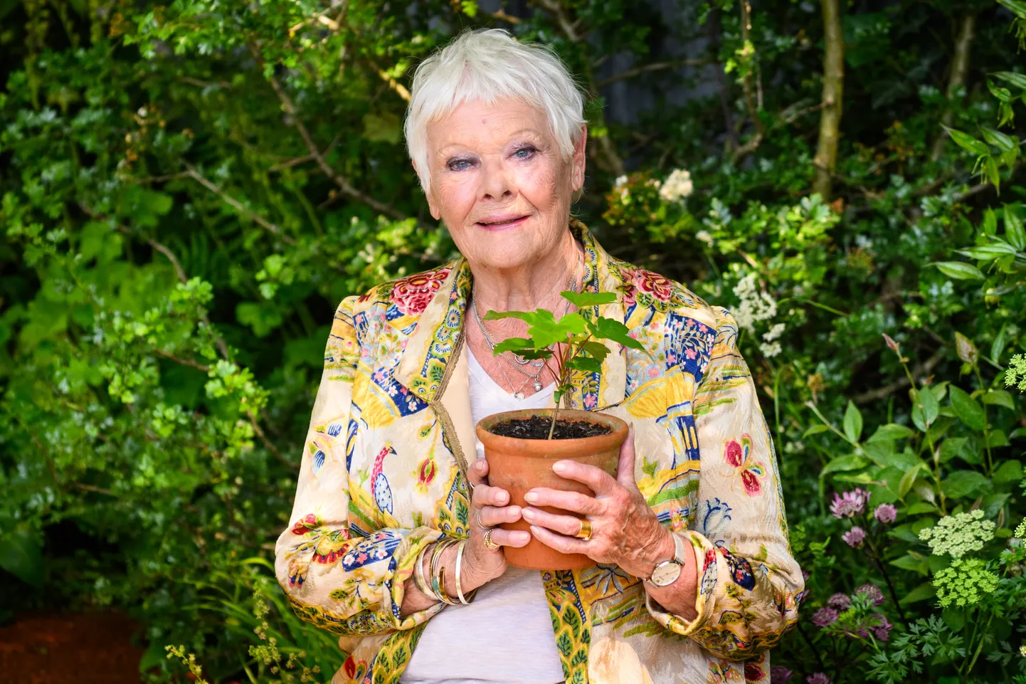 89-aastane Judi Dench tunnistas, et nägemiskaotuse pärast ei pruugi ta rohkem näidelda.
