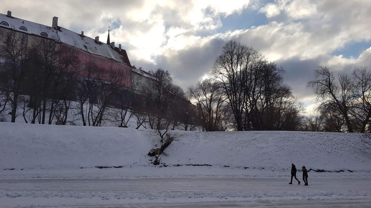 Jäätunud Snelli tiik.