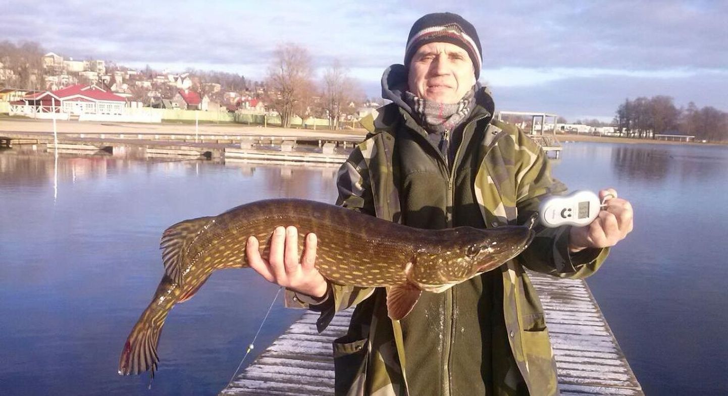 Sergo Teas ja 5,3-kilone Viljandi järve haug.