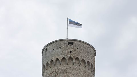 Teadmistepäeval heisatakse Eesti lipud