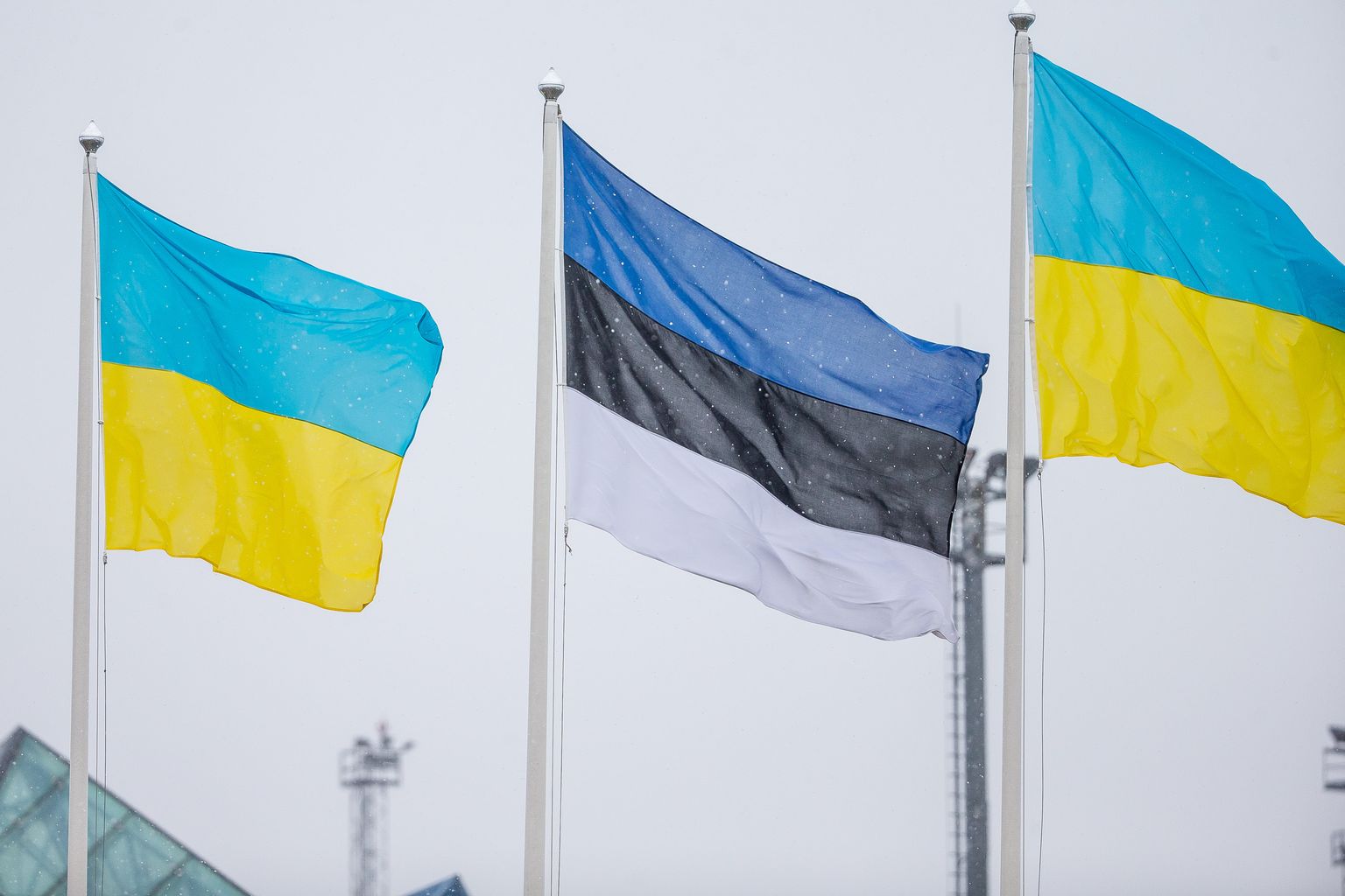 Эстония, Украина, флаги