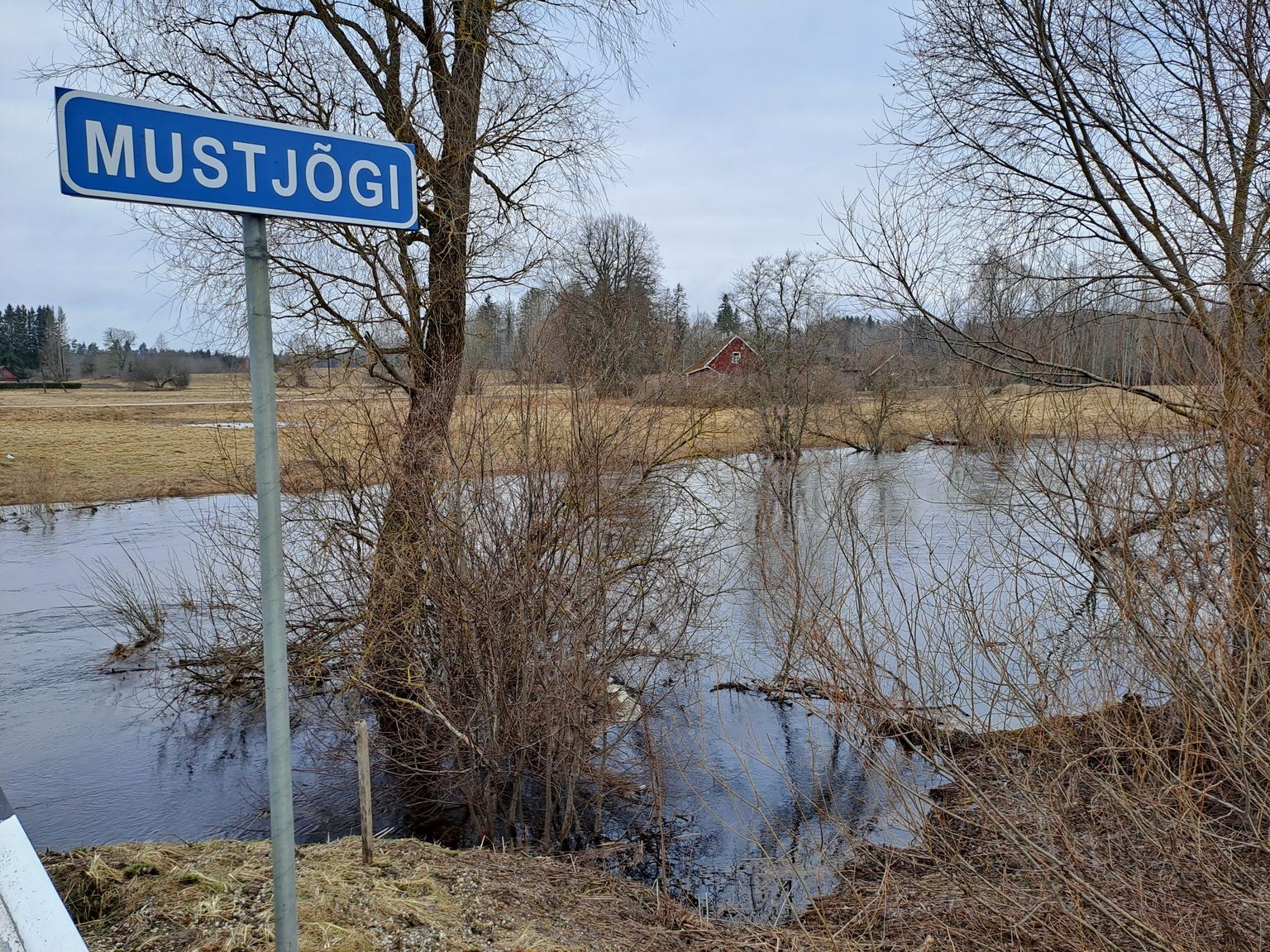 Mustjõgi Antsla ja Rõuge valla piiril.