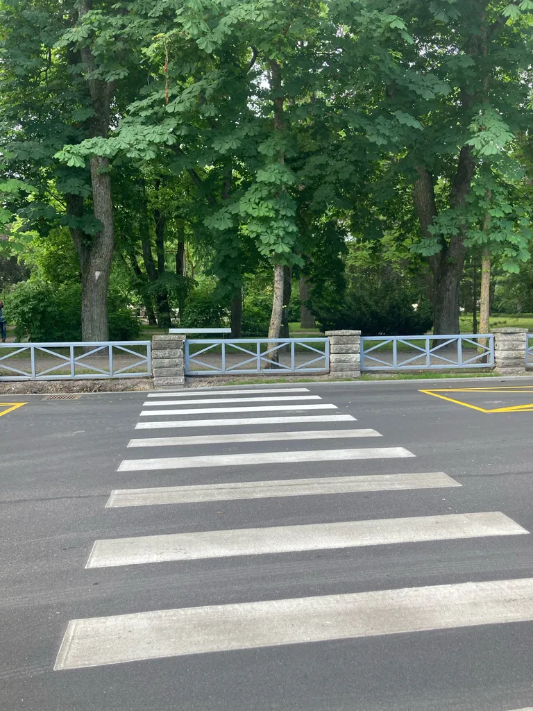 Переход дороги с препятствиями. Такая ситуация была в июне.