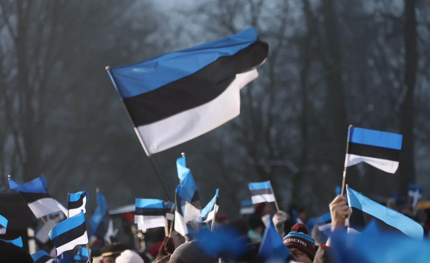 4. juunil tähistatakse paljudes Ida-Virumaa paikades pidulikult Eesti lipu päeva.