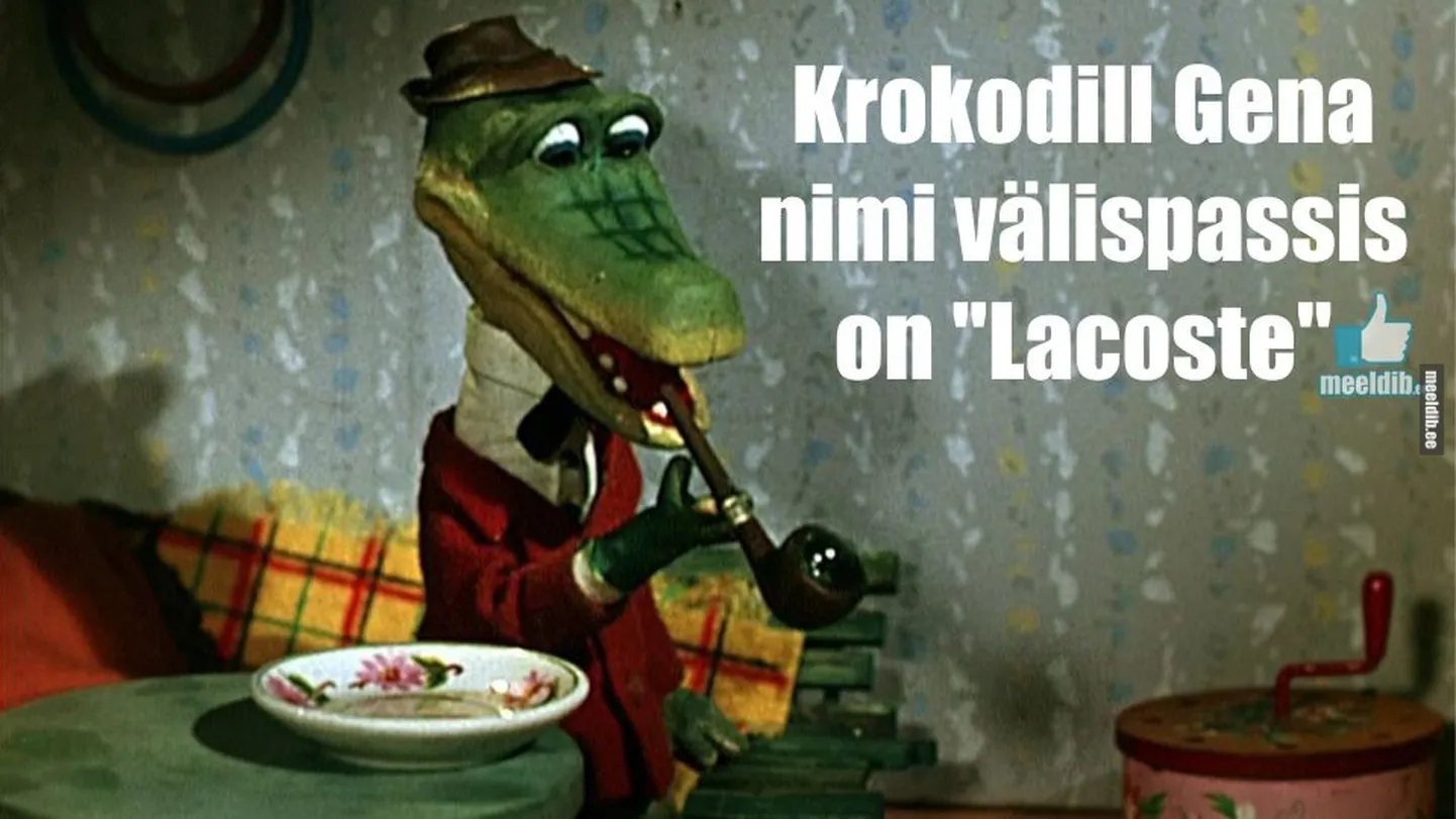 Artikli foto