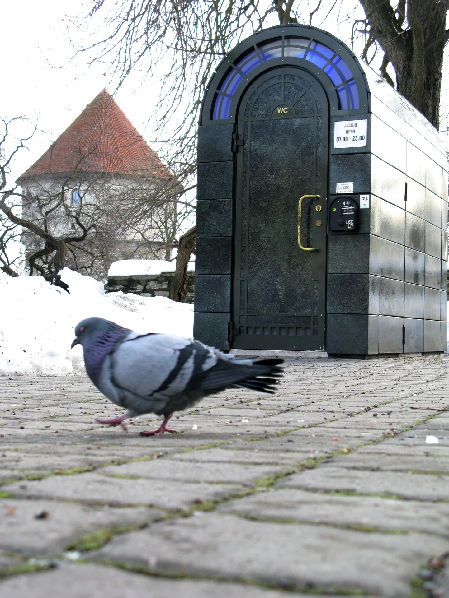 Toompea miljonikäimla tuviga.