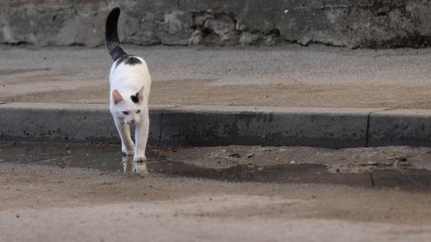 Otrdien vietām gaidāms lietus