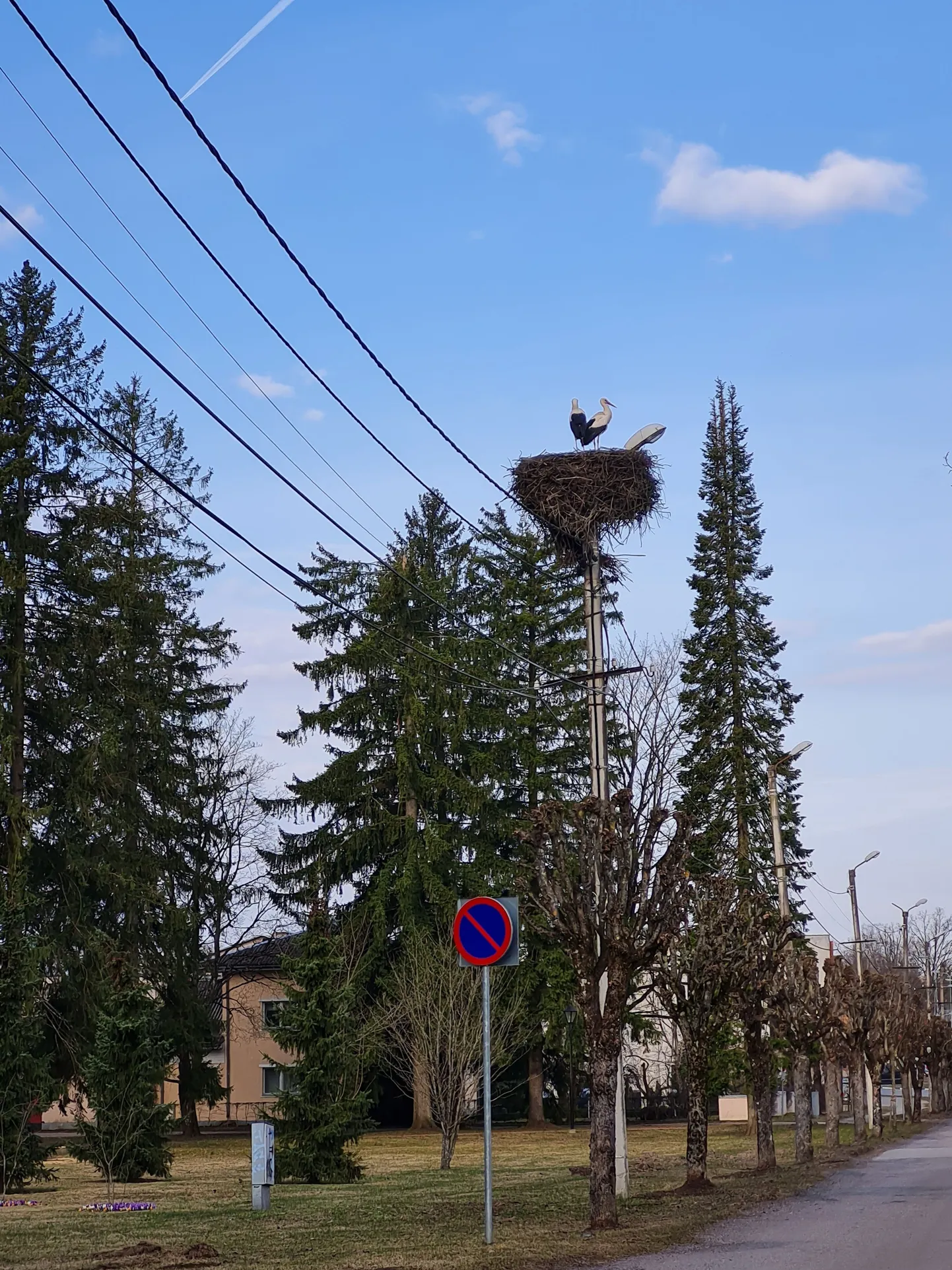 Artikli foto
