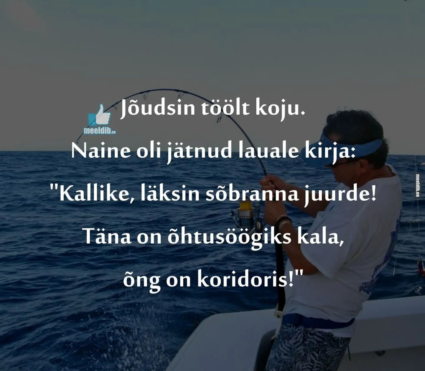 Artikli foto