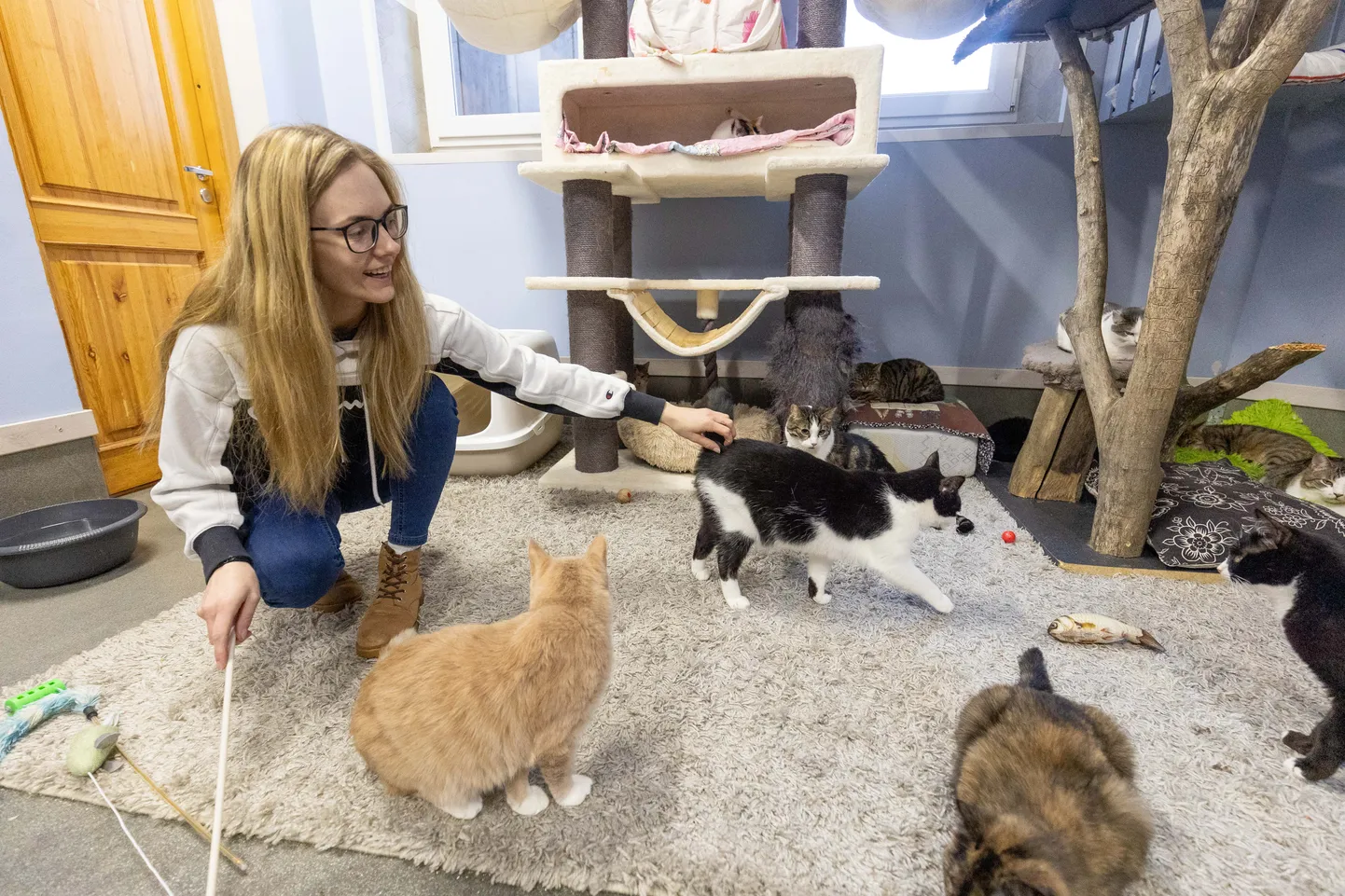 Kogu kohvikuga teenitav tulu läheb hooleta jäetud kasside ülalpidamiseks.