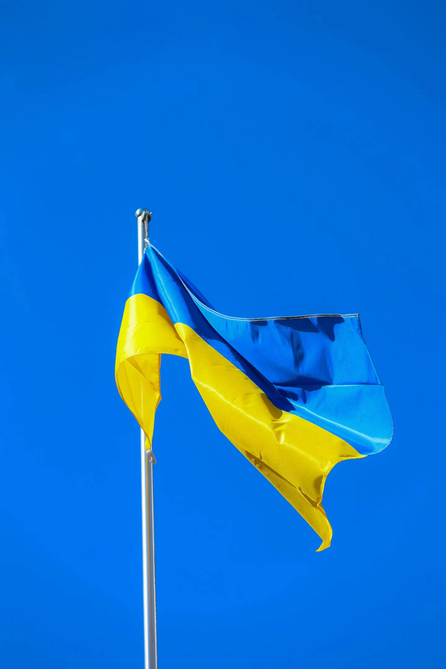 Ukraina lipp.