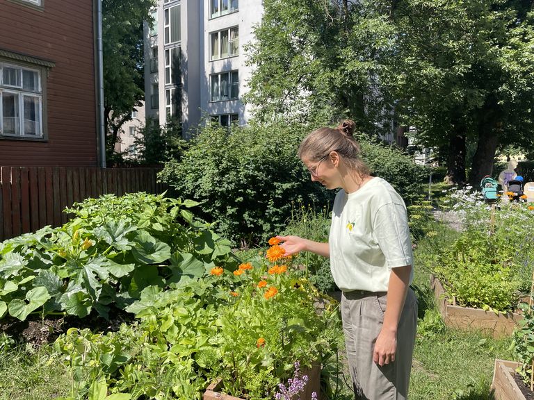 Мария Дерлыш и цветы огорода на ул. Коллане.
