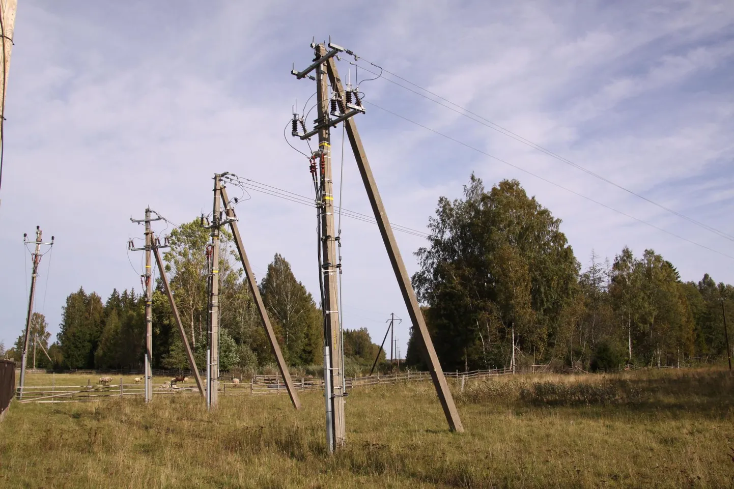 Õhuliinide ümberehituse käigus kõrvaldab Elektrilevi tänavu Esna – Järva-Jaani 10 kV õhuliinist neli ja pool kilomeetrit ja juurib välja 55 õhuliinimasti.