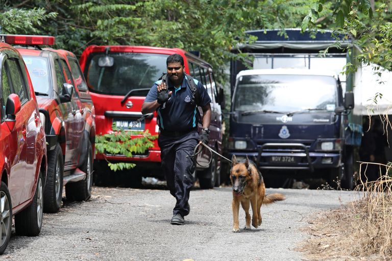 Ohvitser koos politseikoeraga Dusuni kuurorti lähistel kaduma läinud Nora Quoirini otsimas. 