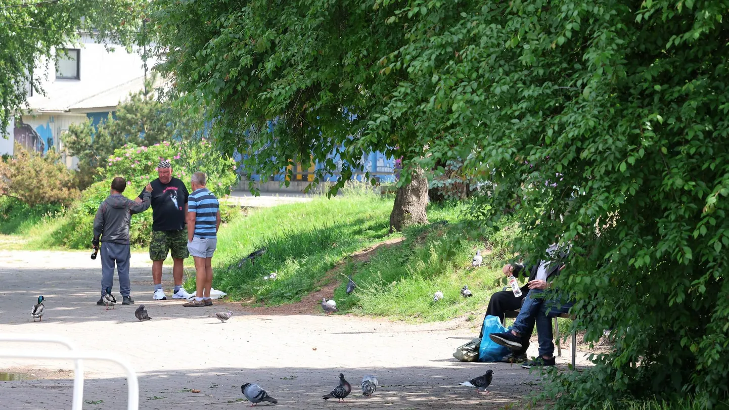 Olgu hommik, päev või õhtu – Dorpati hotelli taga on alkoholilembesed mehed platsis ja kummutavad nii õlut kui viina. Lällamine on jäänud silma ka turistidele, kes annavad hotellidele seetõttu negatiivset tagasisidet. Kolmapäeva keskpäeval oli purjutajaid viis.