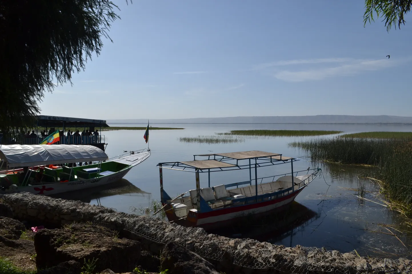 Artikli foto