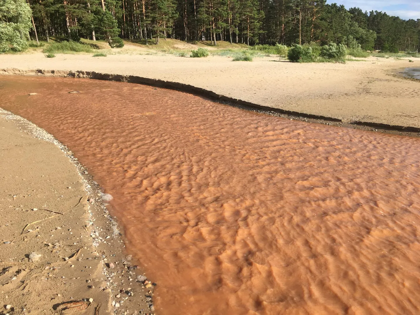 Keskkonnaamet hoiab Lemmejõe olukorral siiski silma peal, sest veekvaliteedi halvenemine võib halvasti mõjuda Lemmejõe hoiuala kaitse-eesmärkidele.