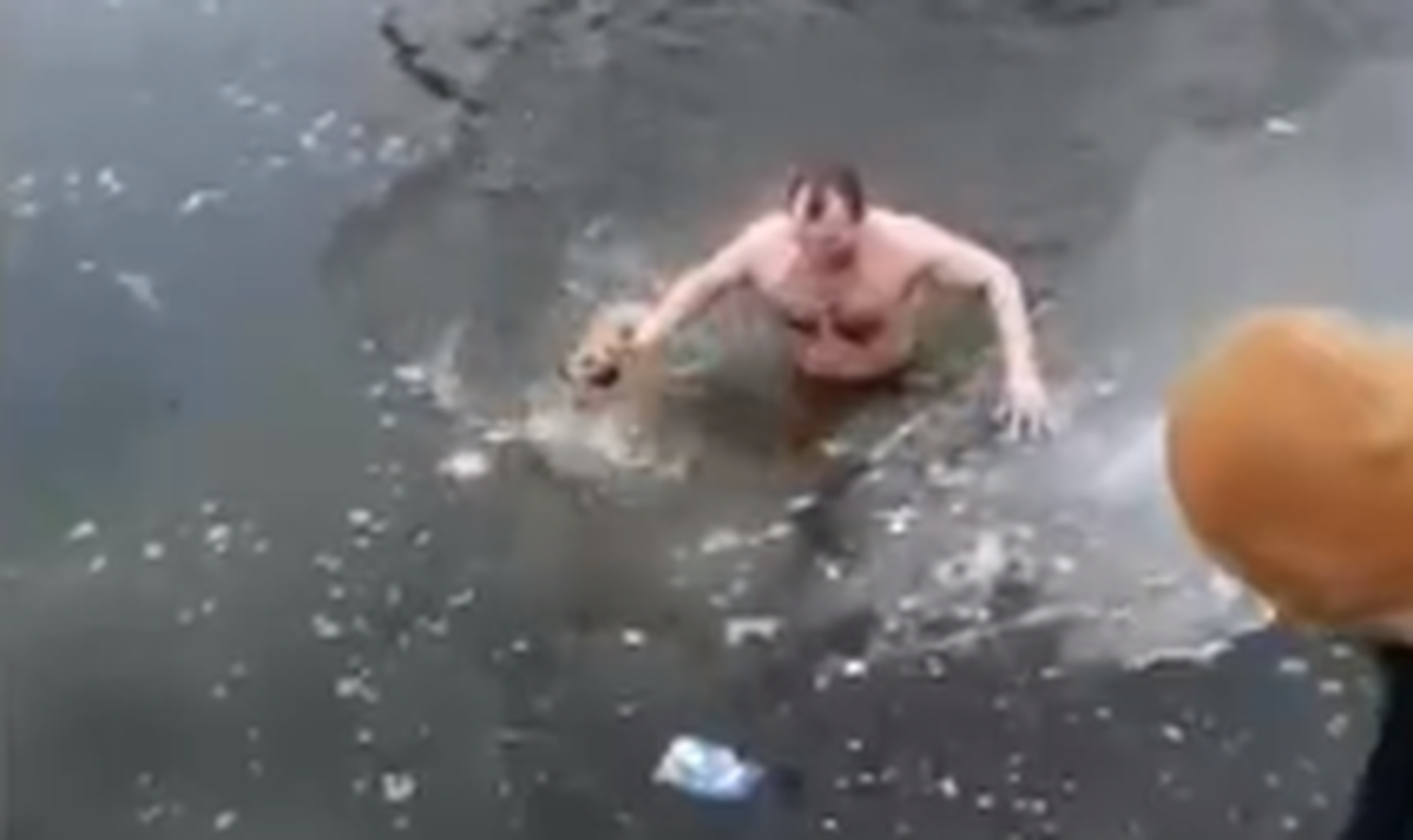 Mees tõmbas kodutu koera veest välja.