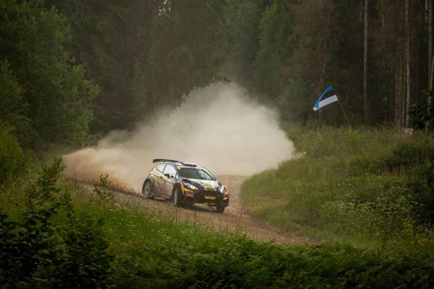Rally Estonia on esmakordselt Eestis toimuv FIA WRC autoralli maailmameistrivõistluste etapp, mis sõidetakse 4.-6. septembril Tartu, Otepää, Elva, Kanepi ja Kambja teedel.