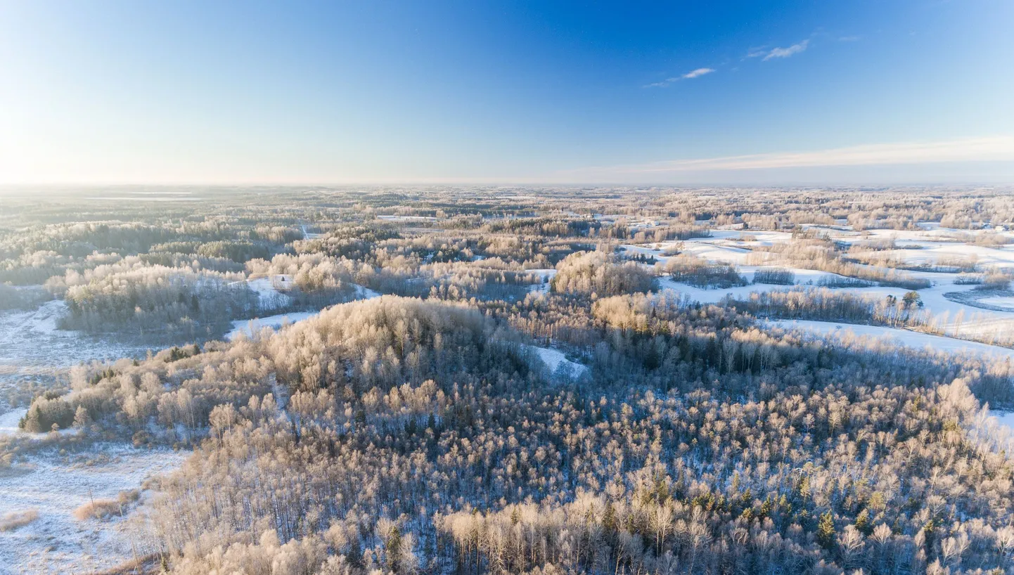 Riigimaadel taastati 2019. aastal niite ja karjamaid 554 hektaril ning sooelupaiku 1422 hektaril.