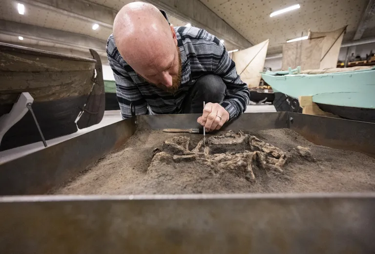 Osteoloog Ola Magnell uurimas kiviajal elanud koera.