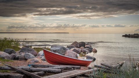 PÄEVAHOROSKOOP ⟩ 1. august: Lõvi võib olla nostalgilisel lainel, Sõnnil tuleks analüüsida oma mõttemustreid