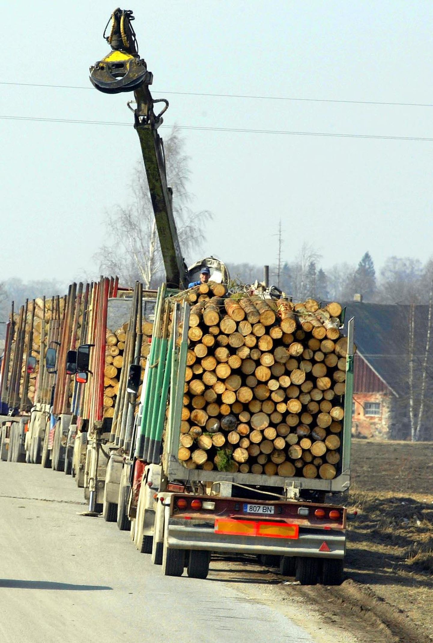 Küsimus, kas Eestis raiutakse metsa liiga palju või liiga vähe, on Eesti metsanduse tuleviku üle peetavas debatis üks tähtsamaid.