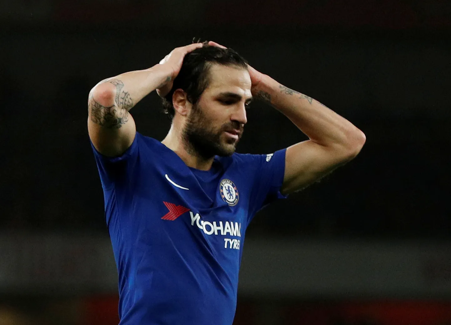 Cesc Fabregas.