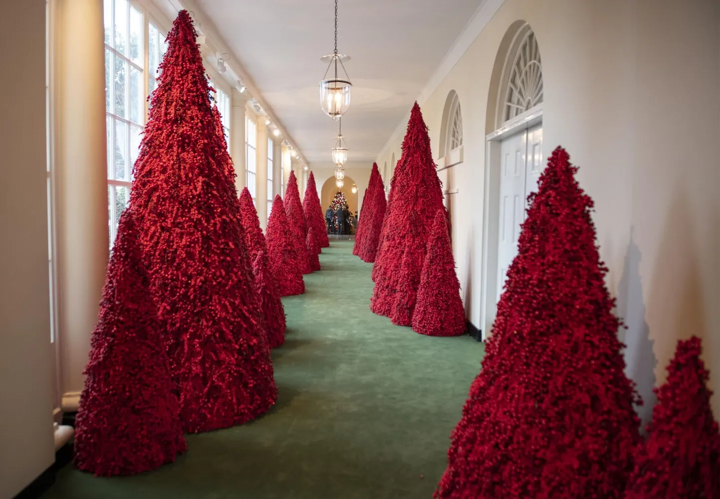 Veripunased kuused, mille Melania Trump lasi püstitada presidendilossi idakolonnaadi.