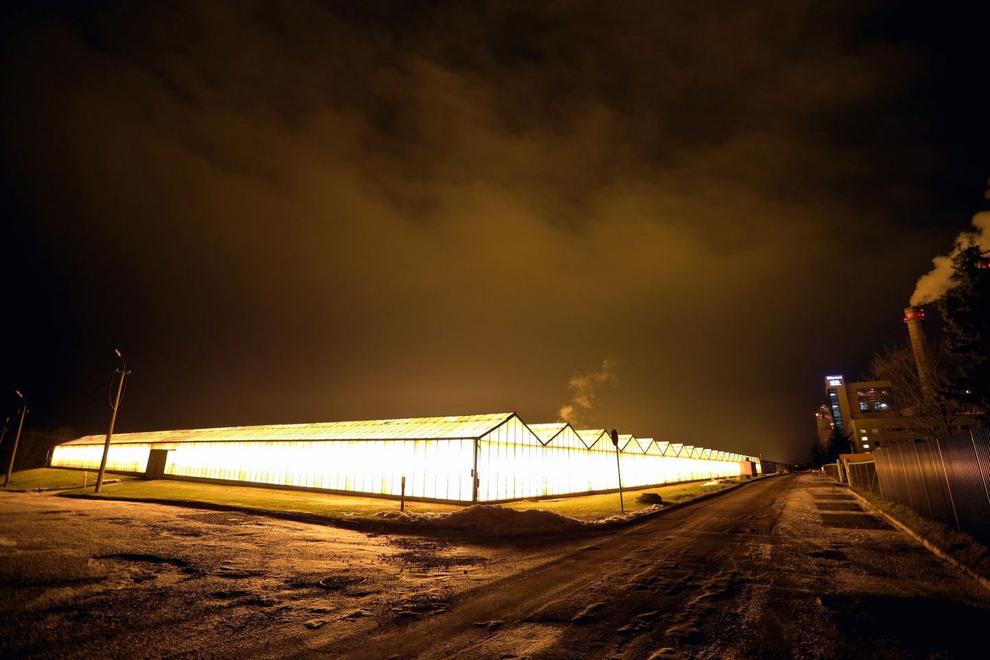Grüne Fee kasvuhoonete ere valgus kumab pimedas kaugele ning seda on õhtuti näha ka Tartu südalinnas olles.