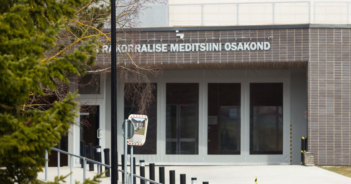 Joobes juht sõit Rakvres vastu puud