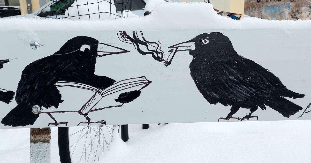 Linnaraamatukogu pinkidel laiutavad hakid nagu kahejalgsed tiivutud tartlased