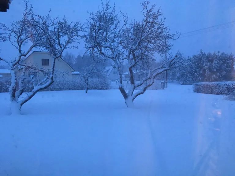 Esmaspäeva hommik Hiiumaal