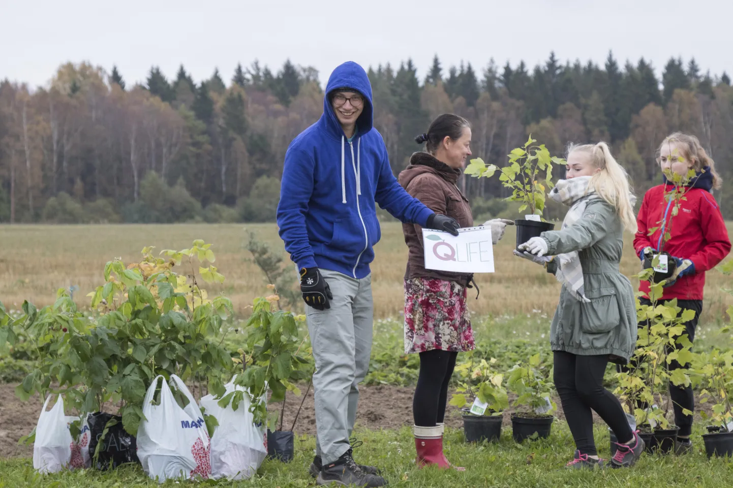 Eelmisel suvel said huvilised Noorte Talu ühe eestvedaja Karl Erik Heinsoo (vasakul) sõnul seal tööd proovida, istutades näiteks marjapõõsaid.