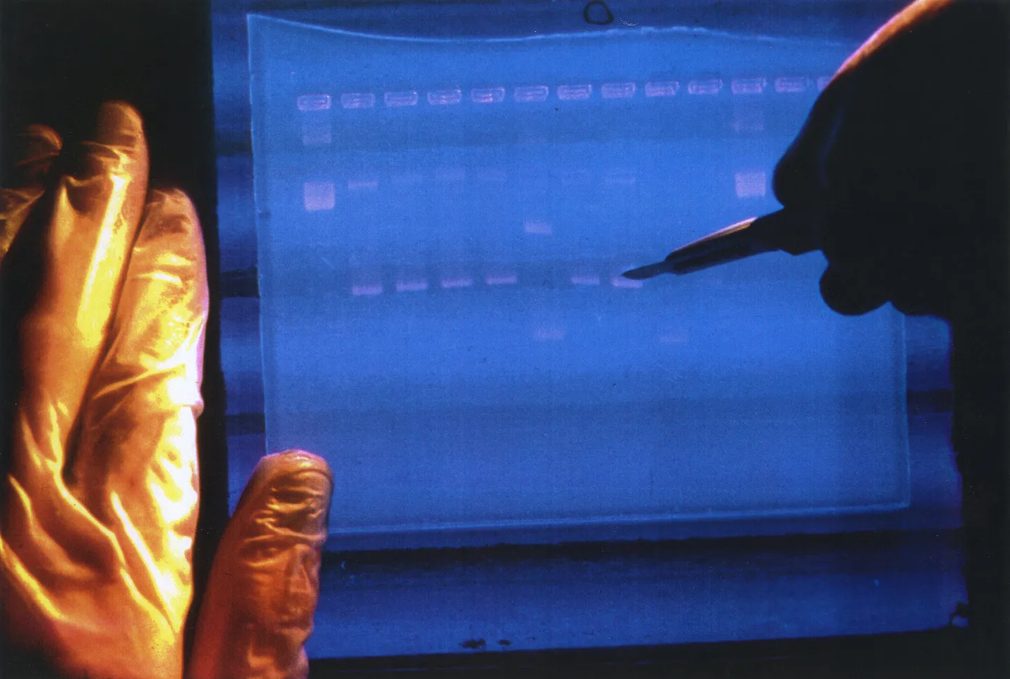 DNA järjestamine