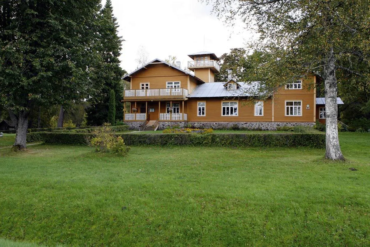 Artikli foto