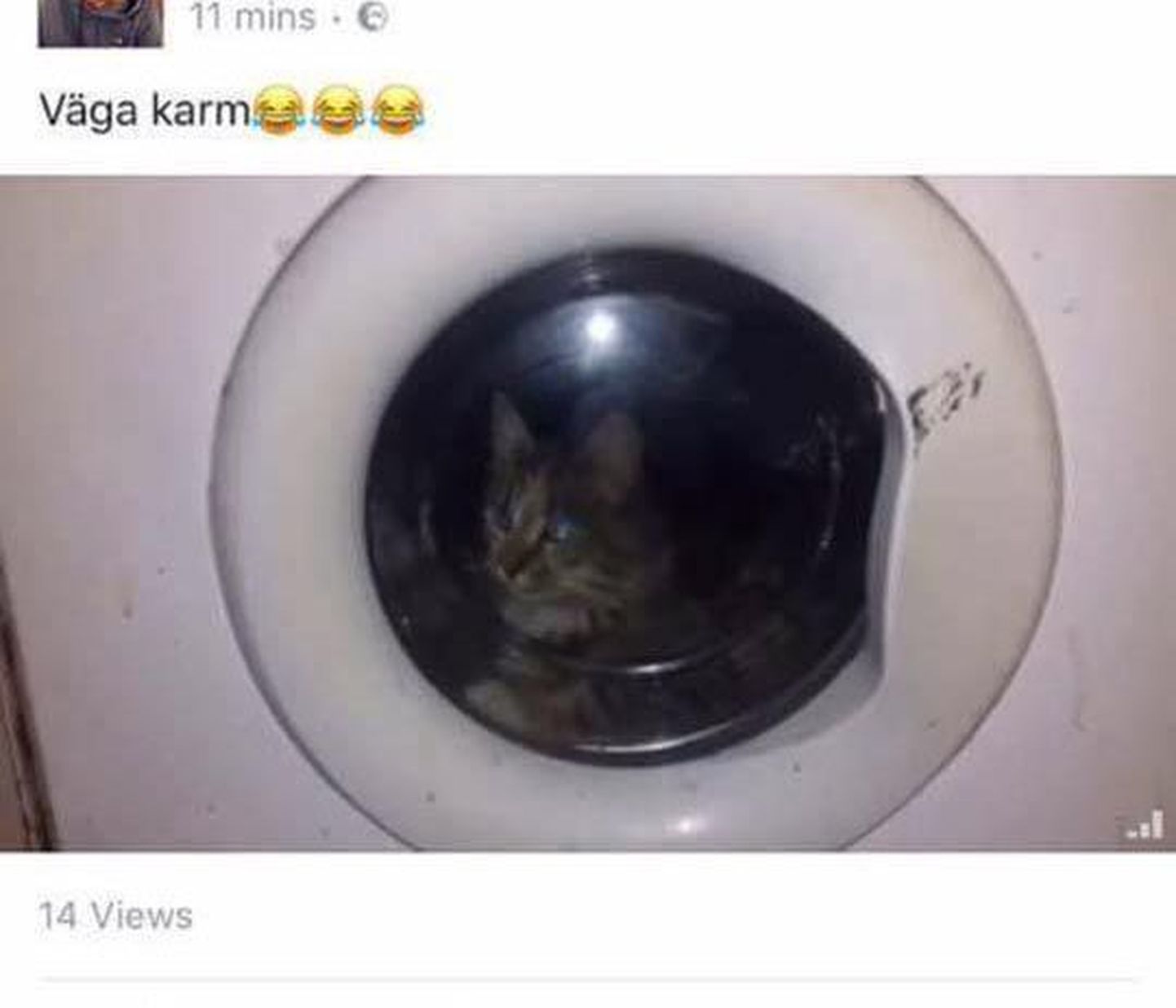 Ekraanitõmmis Facebooki postitatud videost, milles näidatakse töötavas pesumasinas olnud kassipoega.