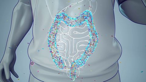 Gut bacteria's diet influences plant-based food benefits, study suggests