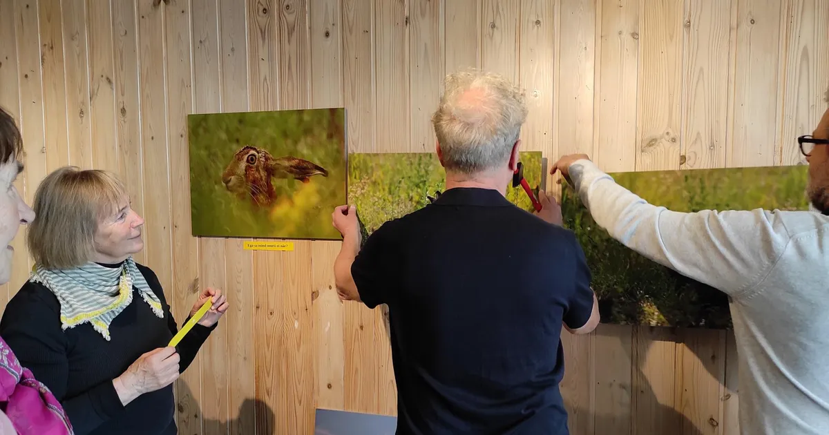 Jänes. Jänes? Jänes!