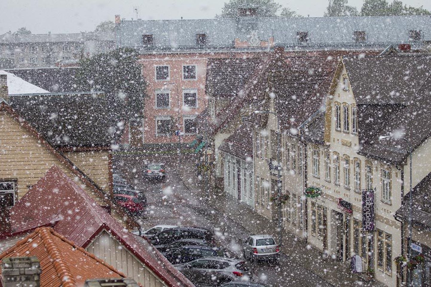 Kuigi esimene suvekuu on jõudnud juba teise poolde, sadas eile mitmel pool tihedat lund, nii ka Viljandi kesklinnas.