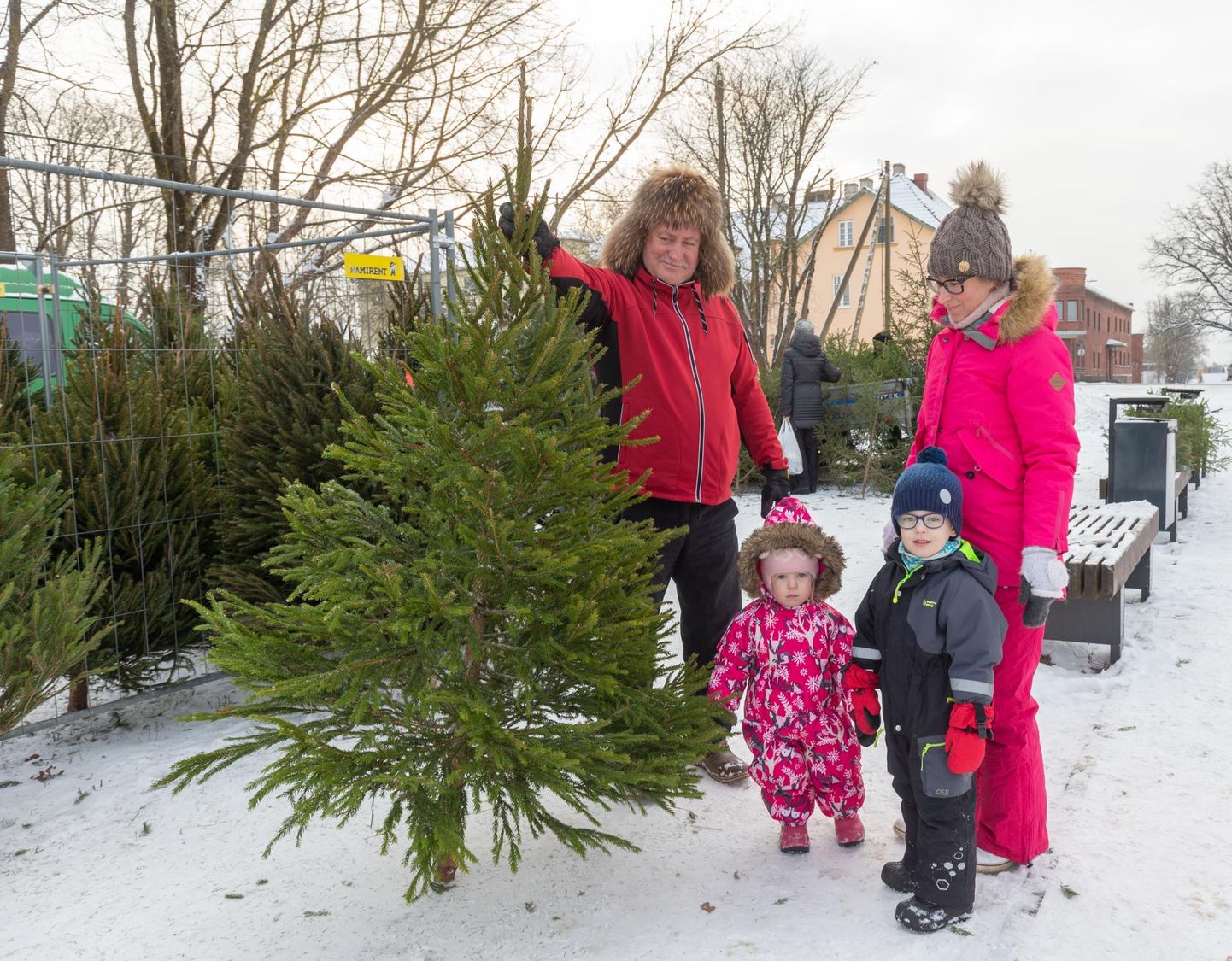 Ervin Kiigemägi koos tütre Kadi ja tolle lastega ostis Rohekalda aiandilt kauni jõulukuuse.