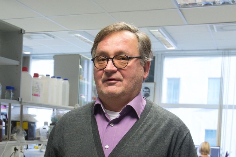 Tallinna Tehnikaülikooli molekulaarbioloogia professor Tõnis Timmusk.