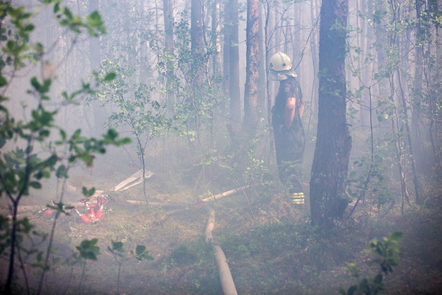 Käru külas põles mets ja raba. Foto on illustratiivne.