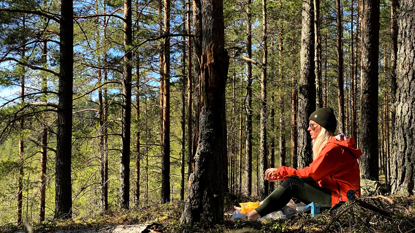 Aprillis algas Näkid Metsa ehk naistelt naistele suunatud elamus- ja seiklusmatkade teine hooaeg.