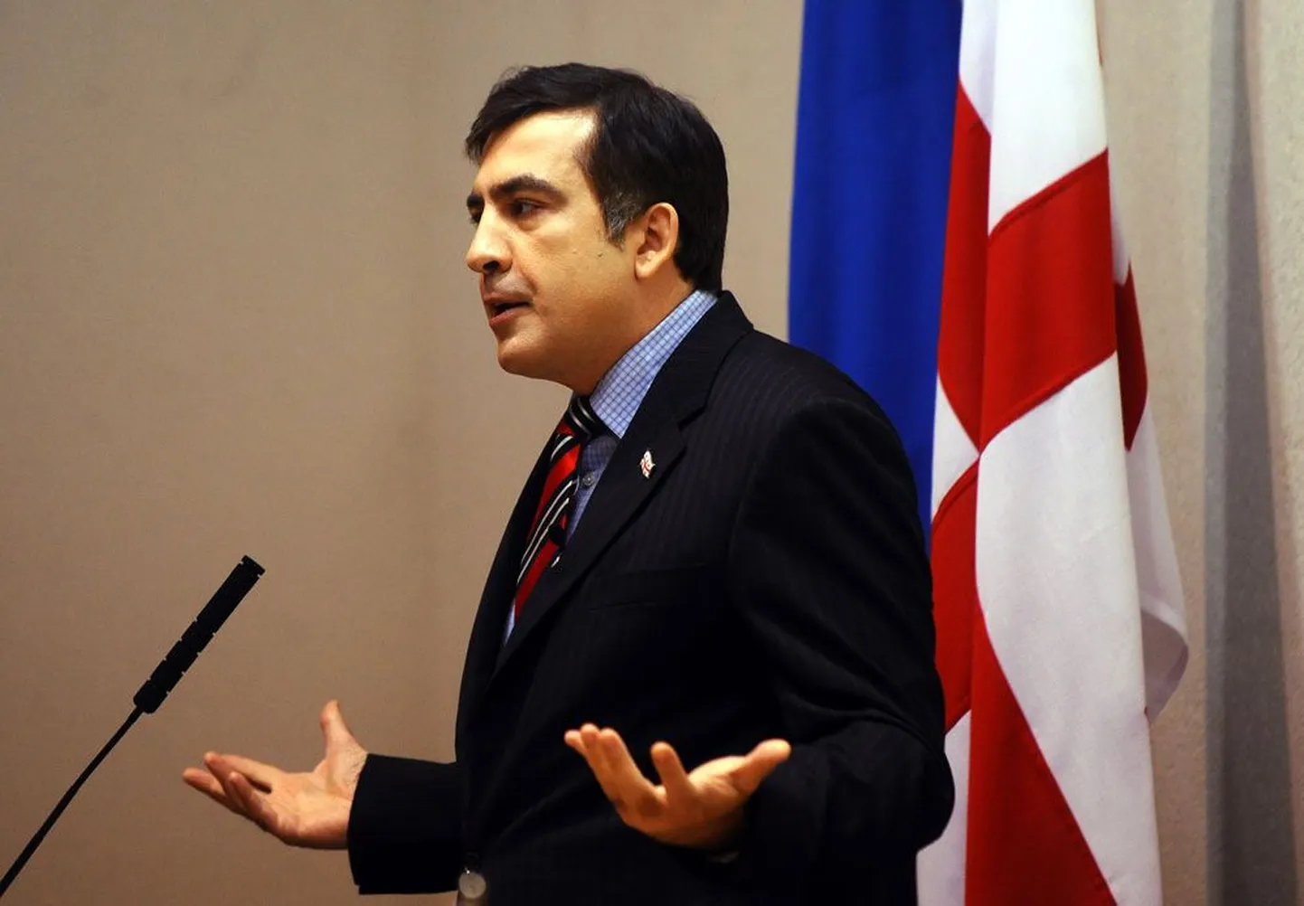 Mihheil Saakašvili sõnul vajab Gruusia-sugune tilluke riik praegu eeskätt sõpru.