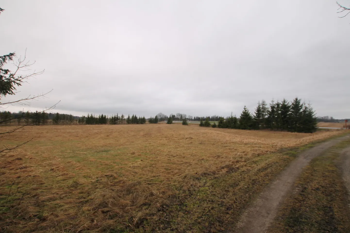 Elamumaa Järva vallas.