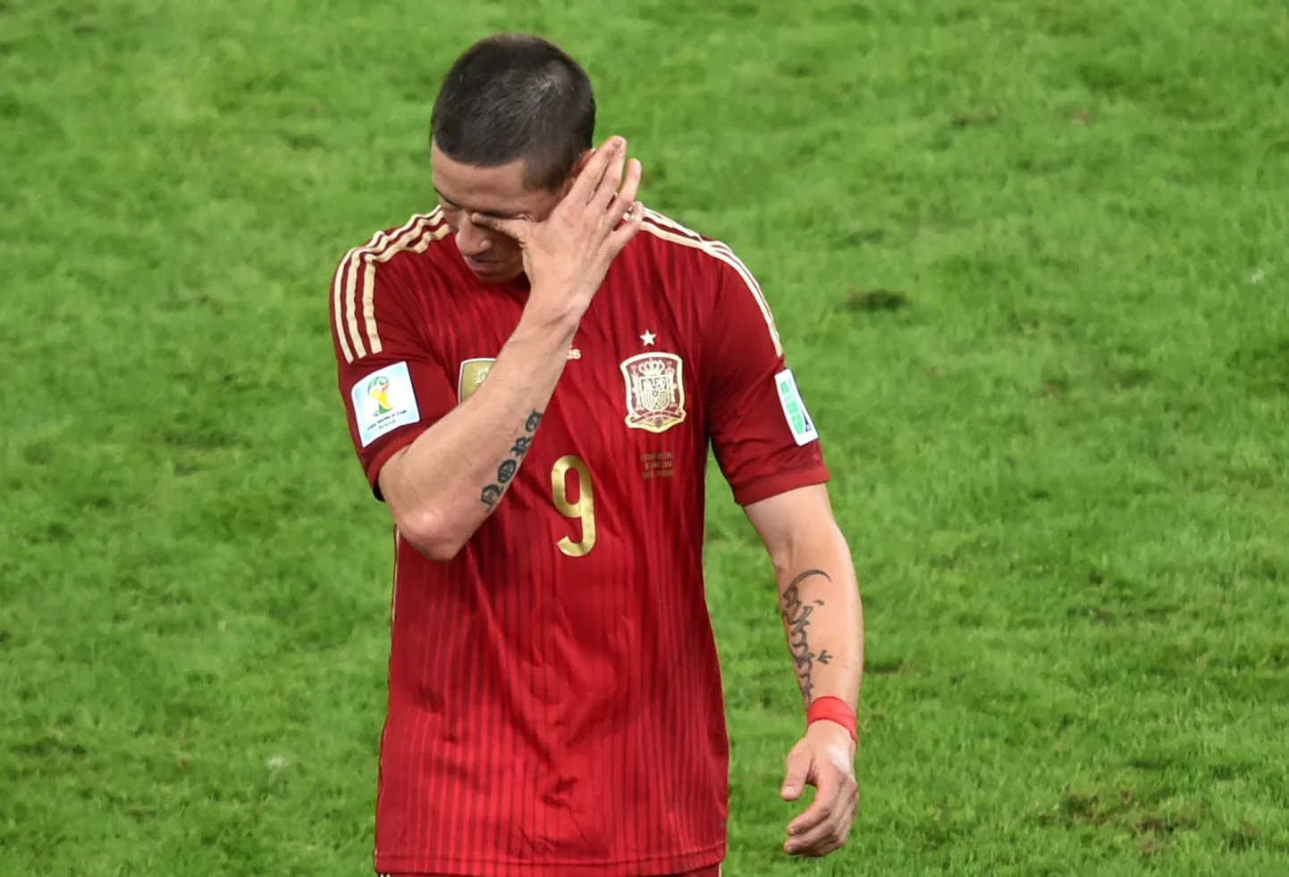 Fernando Torres.