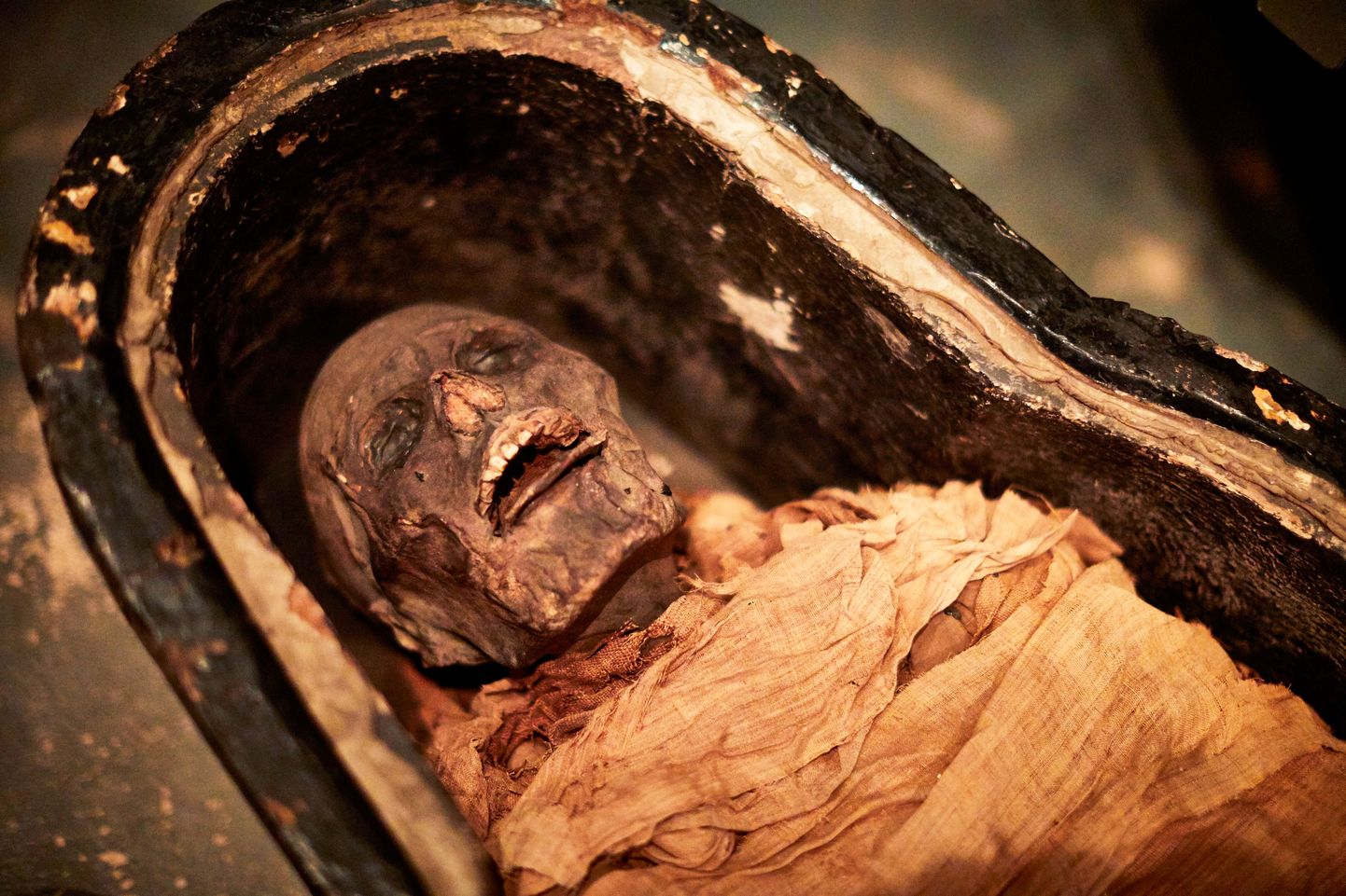 3000 aastat tagasi surnud Vana-Egiptuse preestri Nesyamuni muumia
