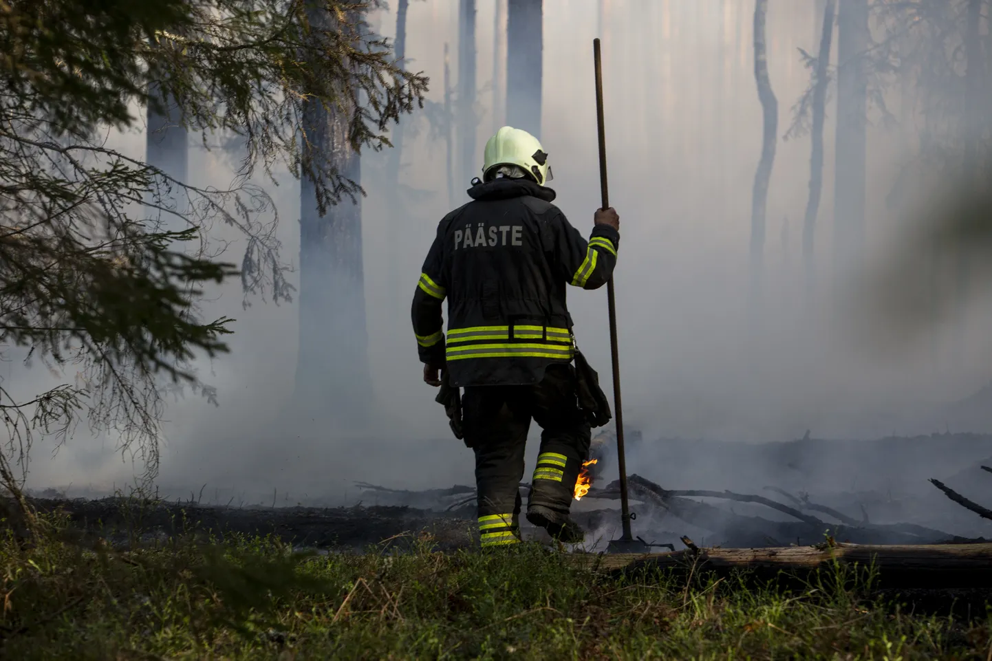 Metsapõleng.
