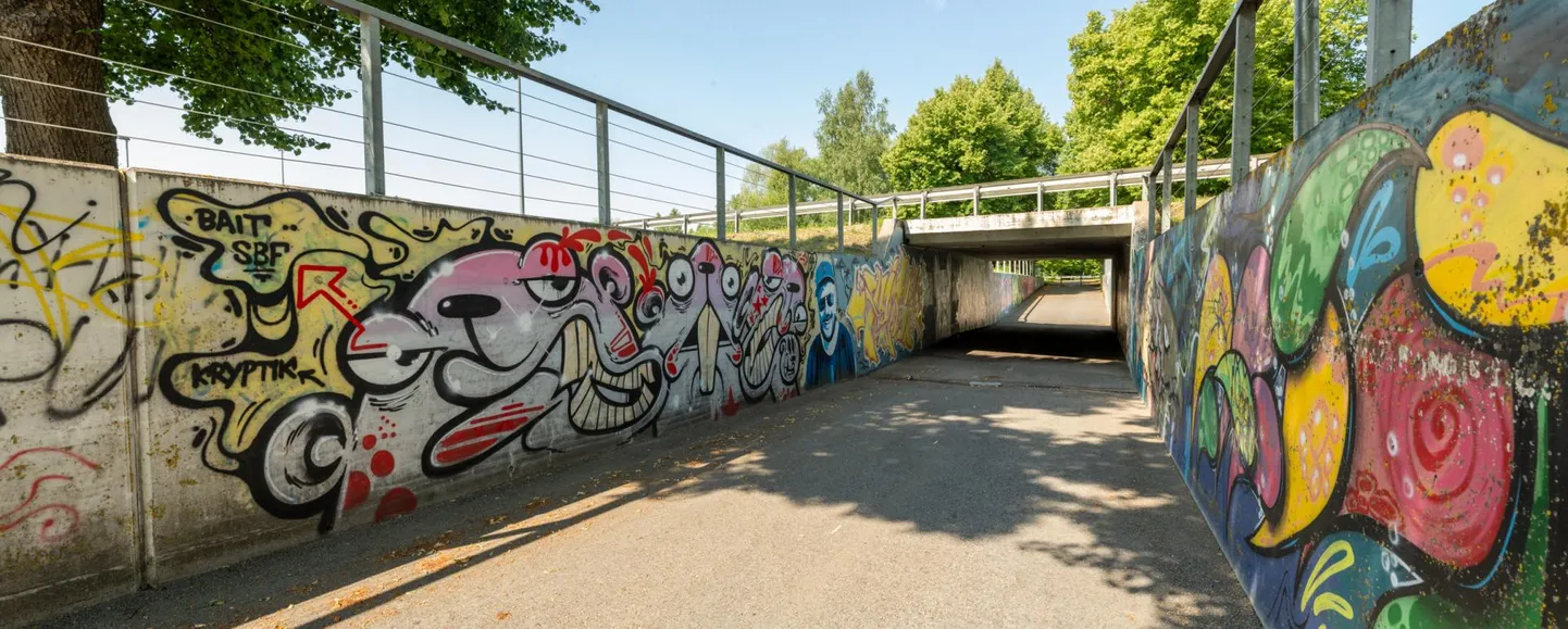 Uus-Sauga tänava lõpus asub jalakäijate tunnel, mis viib üsna võssa kasvanud kunagise Sauga mõisa alale.